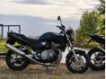SUZUKI GSF 600 (BANDIT) 2003/9 - 5