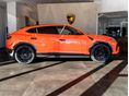 LAMBORGHINI URUS 2026 - 4