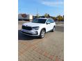 SKODA KODIAQ 2026/9 - 1