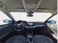 SKODA OCTAVIA 2023/12 - 10