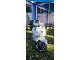 VESPA GTS 2018/5 - 3
