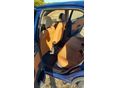 OPEL CORSA C 2003/5 - 8