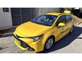 TOYOTA COROLLA 2023 - 1