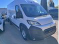 TOYOTA PROACE 2026 - 3