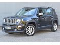 JEEP RENEGADE 2019/12 - 1
