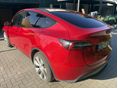 TESLA MODEL Y 2021/9 - 2