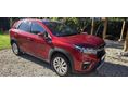 SUZUKI S-CROSS 2022/3 - 1