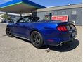 FORD MUSTANG 2016/11 - 4