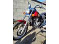 KAWASAKI EN 500 2002/4 - 4