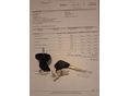 CFMOTO CFORCE 520 2023/3 - 5