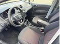 SEAT IBIZA 2009/7 - 5