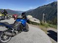 TRIUMPH TIGER 1050 ABS 2009/6 - 2