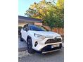 TOYOTA RAV 4 2019/4 - 1