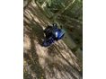 YAMAHA YZF R3 2024/4 - 5