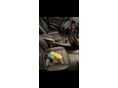 BMW 320 2009/11 - 6