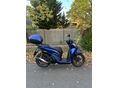 HONDA SH 150 2024/7 - 2