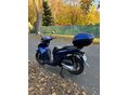 HONDA SH 150 2024/7 - 3