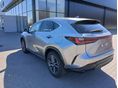 LEXUS NX 2026 - 2