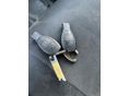 MERCEDES-BENZ SPRINTER 2011/10 - 8