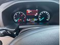 FORD TOURNEO 2021/1 - 12