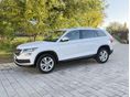 SKODA KODIAQ 2019/1 - 1