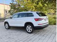 SKODA KODIAQ 2019/1 - 3
