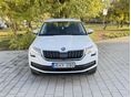 SKODA KODIAQ 2019/1 - 4