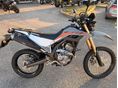 HONDA CRF 300 L 2023 - 1