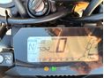 HONDA CRF 300 L 2023 - 5