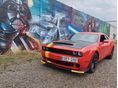 DODGE CHALLENGER 2020/1 - 1