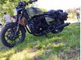 ROYAL ENFIELD SHOTGUN 650 2024 - 1