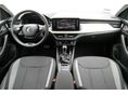 SKODA SCALA 2023/8 - 7