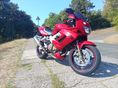 HONDA VTR 1000 F 2005/8 - 3