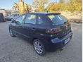 SEAT IBIZA 2007/6 - 3