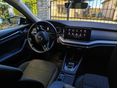 SKODA OCTAVIA 2022/9 - 17