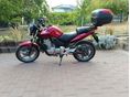 HONDA CBF 500 2007/4 - 10