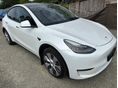 TESLA MODEL Y 2021/9 - 1