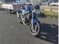 SUZUKI SV 650 N 2009/5 - 2