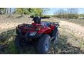 HONDA TRX 250 TM 2005/9 - 1