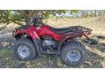 HONDA TRX 250 TM 2005/9 - 3