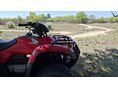 HONDA TRX 250 TM 2005/9 - 9