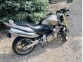 HONDA CB 600 F (HORNET) 2006/7 - 3