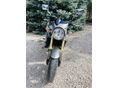 HONDA CB 600 F (HORNET) 2006/7 - 4