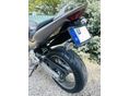 HONDA CB 600 F (HORNET) 2006/7 - 6
