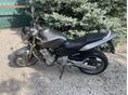 HONDA CB 600 F (HORNET) 2006/7 - 7