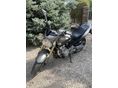 HONDA CB 600 F (HORNET) 2006/7 - 8