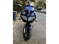 SUZUKI SV 650 S 2008/2 - 2