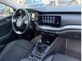 SKODA OCTAVIA 2023/6 - 8