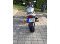 HONDA CB 600 F (HORNET) 2001 - 1