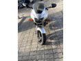 HONDA CB 600 F (HORNET) 2001 - 2